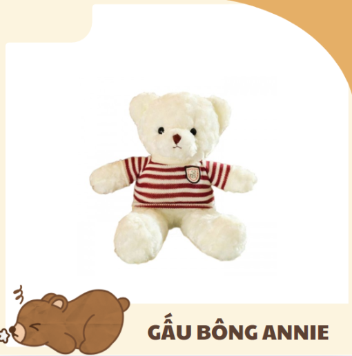 Gấu Bông Teddy