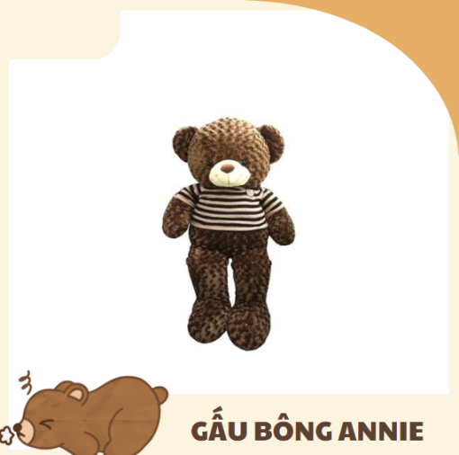 Gấu Teddy