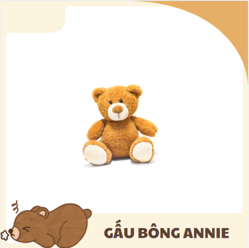Gấu Teddy nhiều người mê